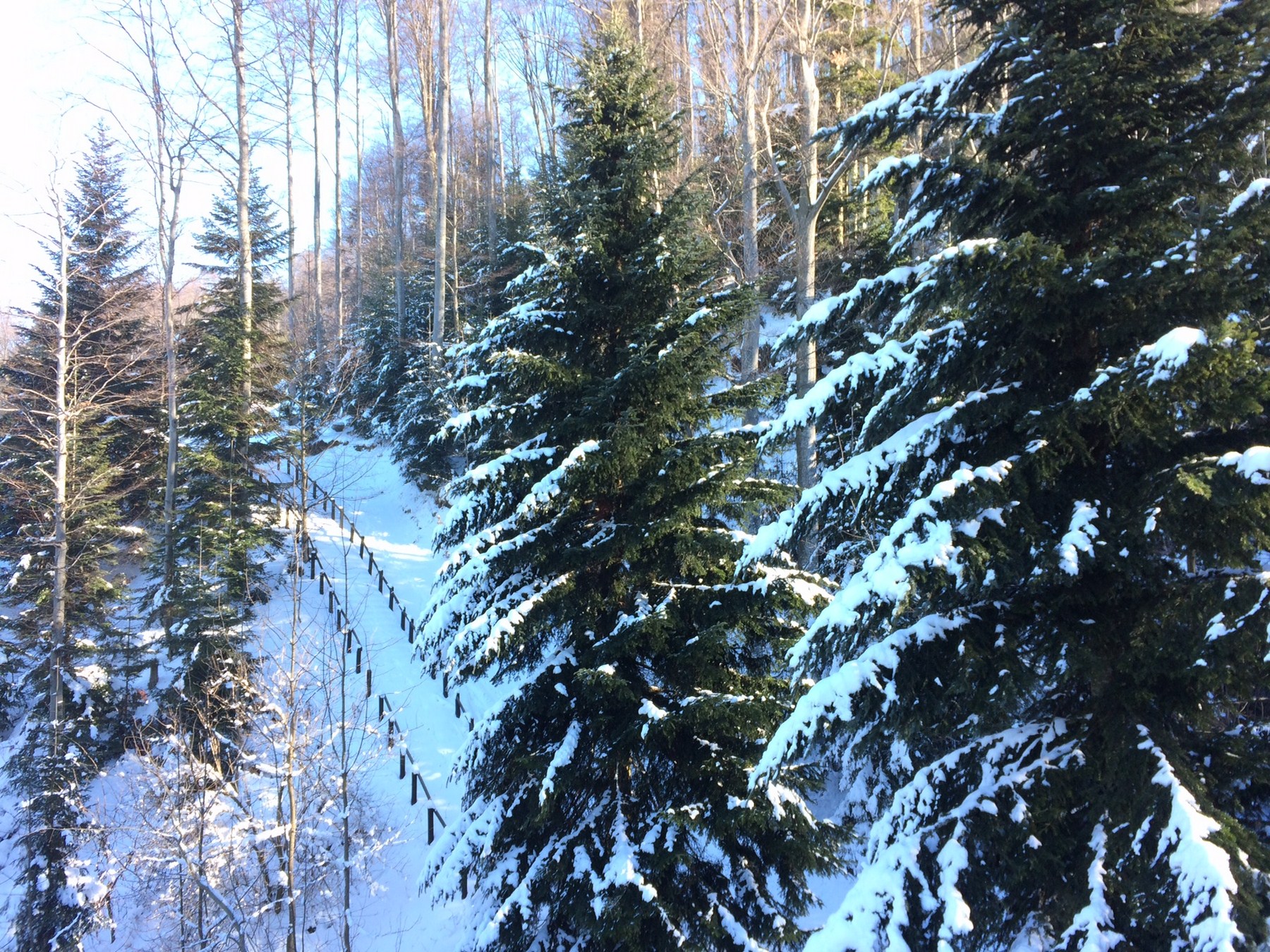 Zimska idila nad Zagrebom foto Mislav Deželić 9